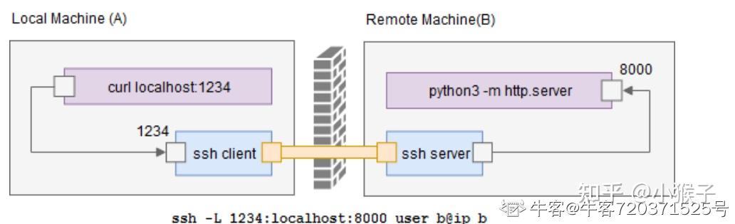 xtermshell区别 regime和system