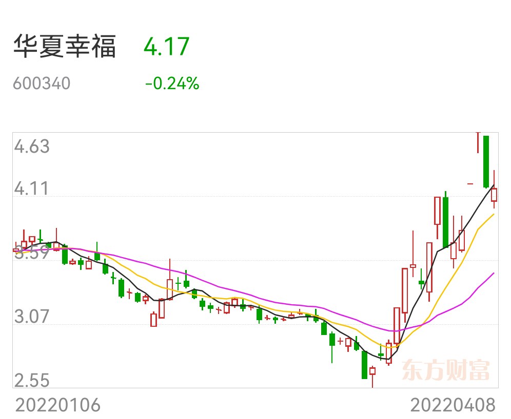 河北华夏幸福主场不敌对手,需反思战术安排的简单介绍