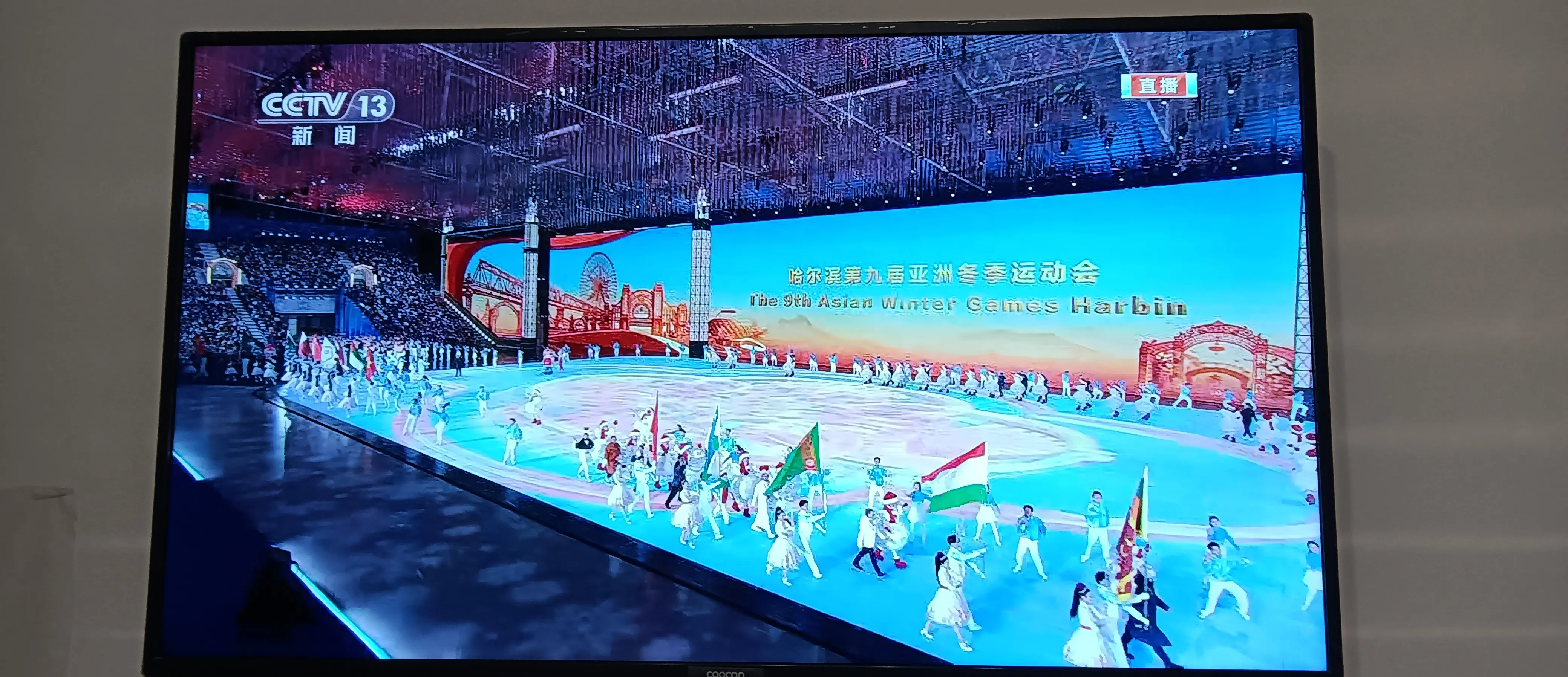 夺冠瞬间，震撼全场的精彩表现的简单介绍